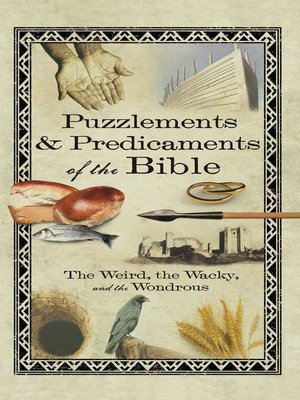 cover image of Puzzlements & Predicaments of the Bible
